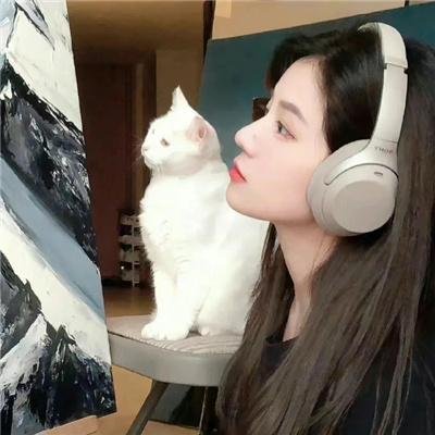 凌云志
